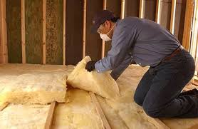 Best Insulation Removal  in Landing, NJ